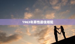 1963年男性最佳婚配(当年最受欢迎的婚配方案是什么)