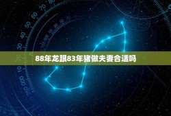 88年龙跟83年猪做夫妻合适吗(星座专家介绍你不容错过)