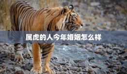 属虎的人今年婚姻怎么样(2023年属虎人的婚姻运势大揭秘)