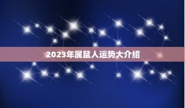 2023年属鼠人运势大介绍(财运旺盛事业顺利)