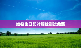 姓名生日配对姻缘测试免费，姓名生日配对姻缘测试免费查询