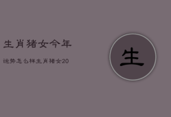 生肖猪女今年运势怎么样，生肖猪的女人今年运程