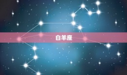 十二星座配对测试爱情表(介绍星座恋爱契合度)