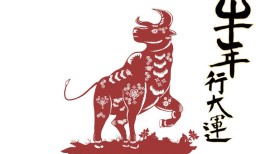 男属猪女属牛相配吗婚姻(如何避免婚姻矛盾)