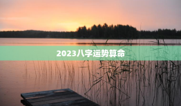 2023八字运势算命，八字测2023年运势