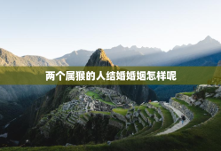 两个属猴的人结婚婚姻怎样呢，两个属猴的人结婚婚姻怎样呢好吗