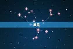 71年配什么属相最配(解密十二生肖中搭档是谁)