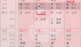 八字地势是什么意思，八字中的十二长生宫应该