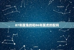 87年属兔的和86年属虎的配吗(兔虎相遇缘分难料)