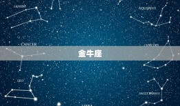 双子一生最忘不掉的星座(探秘是哪个星座让双子如此难忘)