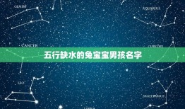 五行缺水的兔宝宝男孩名字(起名方法和五行缺水的介绍)