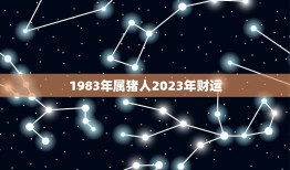 1983年属猪人2023年财运(财富大丰收)