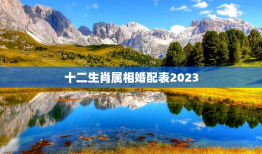 十二生肖属相婚配表2023，男女属相最佳婚配表