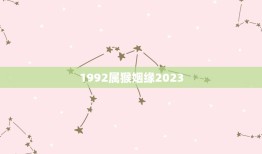 1992属猴姻缘2023(解读属猴人的婚姻运势)