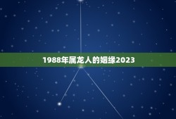 1988年属龙人的姻缘2023(如何迎接婚姻的新起点)