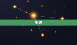 属猪今日运势超准财运(财神降临财源滚滚来)