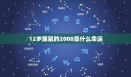 12岁属鼠的2008是什么命运(介绍属相与命运交织的一年)