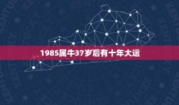 1985属牛37岁后有十年大运(详解属牛人的命运)