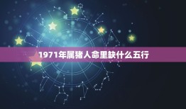 1971年属猪人命里缺什么五行(五行缺失分析)