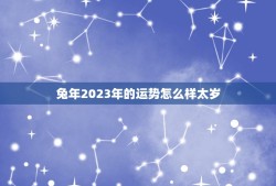 兔年2023年的运势怎么样太岁(详解兔年生肖运势)