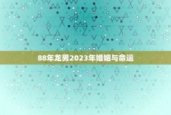 88年龙男2023年婚姻与命运(如何预测)