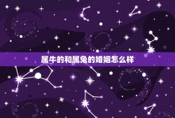 属牛的和属兔的婚姻怎么样 配吗(讨论牛兔配对的婚姻状况)