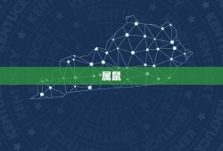 白羊座的4个属相(独占鳌头你的星座属于吗)