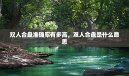 双人合盘准确率有多高，双人合盘是什么意思