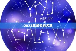 2023年属兔的名字(探寻属兔人的吉祥名字)