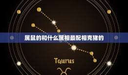 属鼠的和什么属相最配相克猪的(十二生肖配对介绍)