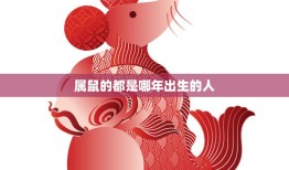 属鼠的都是哪年出生的人(2023年是属鼠的吗)