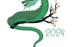 2024年木龙是什么木（木龙年属性辨析）