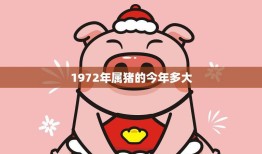 1972年属猪的今年多大(属猪人士迎来48岁生日)