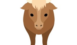 属牛女的跟什么属相犯忌(如何避免犯忌)