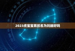 2023虎宝宝男孩名为刘赫好吗(解读命名的)