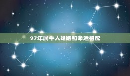 97年属牛人婚姻和命运相配(解读属牛人的婚姻和运势)