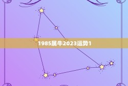 1985属牛2023运势1.5(牛年人事业财运大爆发)