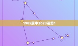 1985属牛2023运势1.5(牛年人事业财运大爆发)