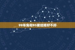 99年兔和95猪结婚好不好(讨论十二生肖配对是否靠谱)