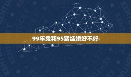 99年兔和95猪结婚好不好(讨论十二生肖配对是否靠谱)