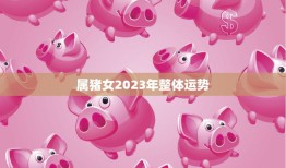 属猪女2023年整体运势(财运亨通事业有成感情稳定)