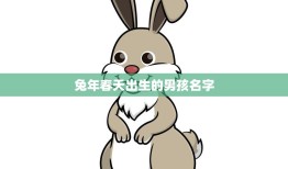 兔年春天出生的男孩名字(如何选择)