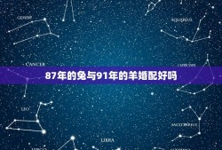 87年的兔与91年的羊婚配好吗(详解十二生肖婚配)