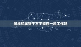 属虎和属猪千万不能在一起工作吗(如何避免属相冲突影响工作效率)