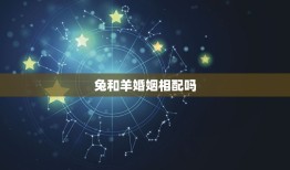 兔和羊婚姻相配吗？(讨论不同生肖之间的配对关系)