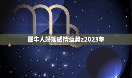 属牛人婚姻感情运势z2023年(爱情运势大介绍)