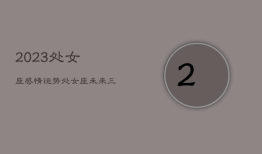 2023处女座感情运势，处女座2023年