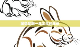 属兔是哪一年出生的年份(兔年生肖解析)