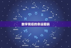 出生年月日数字看命运(介绍数字背后的命运密码)