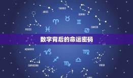 出生年月日数字看命运(介绍数字背后的命运密码)
